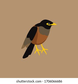 Black and Brown Bird Flat Vector Minimalist Illustration
