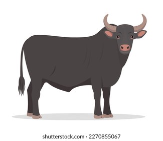 Black or brown bull. Male farm animal. Best Beef Cattle Breed. Vector flat or cartoon icon illustration isolated on white backfround.