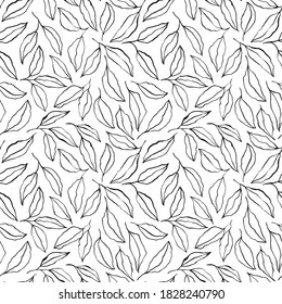 Black brush outline leaves and twigs. Olive branch modern ornament. Black ink texture with foliage. Hand drawn eucalyptus, laurel twig. Abstract plant motif. Hand drawn line elements