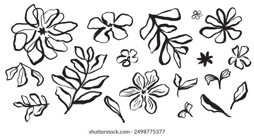 Black brush stroke flowers and leaves vector elements isolated on white. Simple hand drawn linear flowers set. Botanical illustration. Daisy hand painted clipart. Ink drawing wild plants and herbs