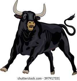 Black buffalo. Bullfighting in Spain