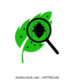 Black bug on a leaf seen by a magnifying glass.