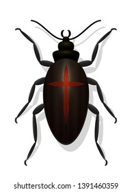 Black bug with red cross. Black widow beetle. Symbolic for dangerous, toxic, poisonous insects or for decline in insect populations. Vector on white background.
