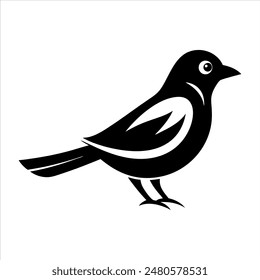 Ilustración vectorial de Pájaro Bulbul Negro