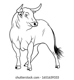 Black Bull. Isolated vector illustration on white background