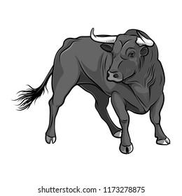 Black Bull on a white background. Vector illustration. Corrida bull.