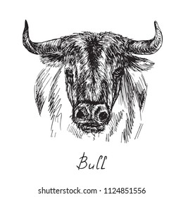 Black Bull Portrait, Hand Drawn Ink Doodle, Sketch, Vector Black And White Illustration