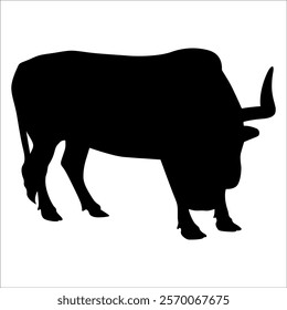 Black Bull Silhouette vector illustration