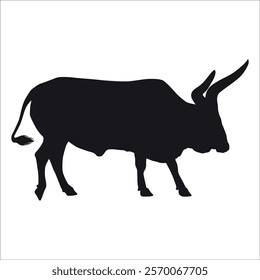 Black Bull Silhouette vector illustration