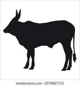 Black Bull Silhouette vector illustration