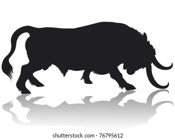 Black bull stands in an aggressive posture, lowered head with huge horns.