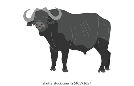 Black Bull Vector, Grey Buffalo Illustration Isolated on a White Background