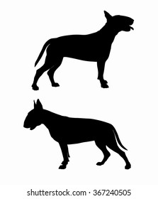 Black Bullterrier dog silhouettes on white background