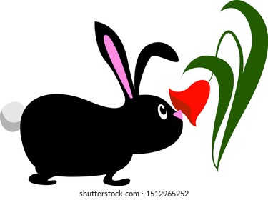 Black bunny, illustration, vector on white background.