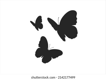 black butterflies hand drawn design