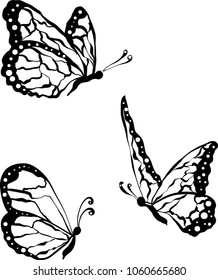 black butterflies isolated on white background, close-up