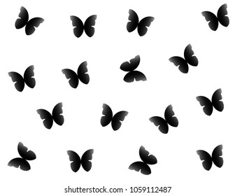 Black Butterflies on White Background