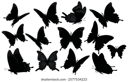 Black butterflies on white background. Vector set. Isolated butterfly silhouettes collection