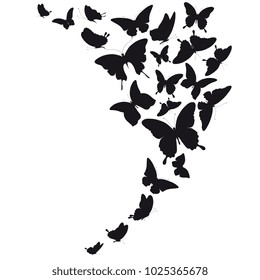 Black butterflies set, isolated on a white