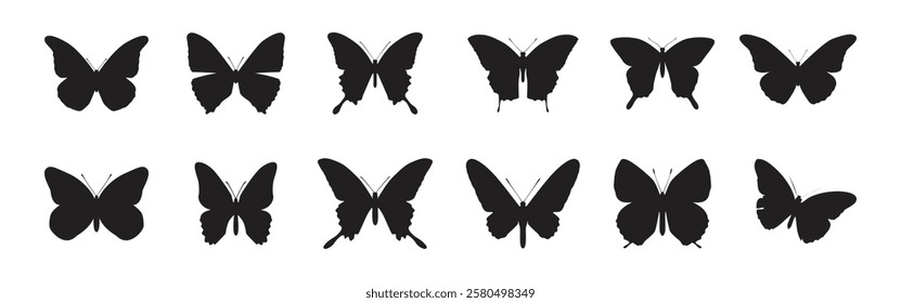 Black butterflies Silhouettes collection. isolated on white background. Vector illustration.