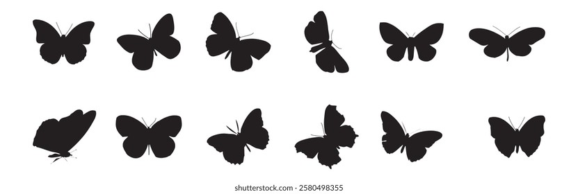 Black butterflies Silhouettes collection. isolated on white background. Vector illustration.