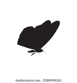 Black butterflies Silhouettes collection. isolated on white background. Vector illustration.