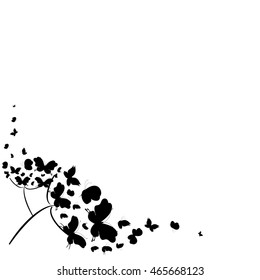 black butterflies,isolated on a white