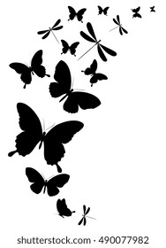 black butterflies,isolated on a white