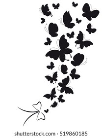 black butterflies,isolated on a white