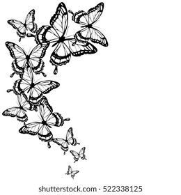 black butterflies,isolated on a white