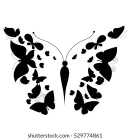 black butterflies,isolated on a white