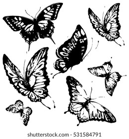 black butterflies,isolated on a white