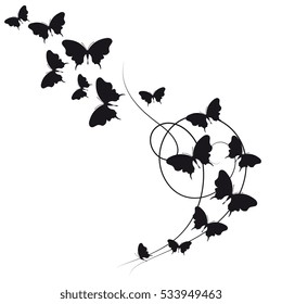 black butterflies,isolated on a white