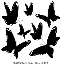 black butterflies,isolated on a white, vector  