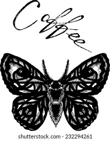 black butterfly, coffee butterfly, moth, butterfly vector