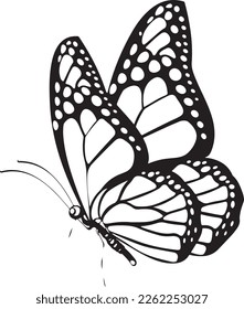 black butterfly drawing, wall art, painting, t-shirt print, vector, eps file