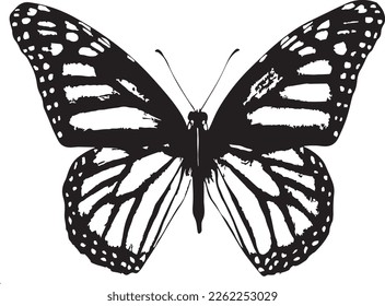 black butterfly drawing, wall art, painting, t-shirt print, vector, eps file