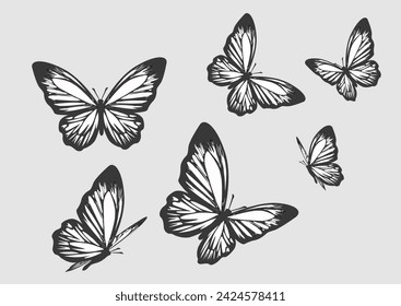 black butterfly hand drawn vector