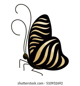 Black butterfly icon. Cartoon illustration of black butterfly vector icon for web