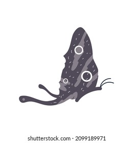 icono de mariposa negra aislado