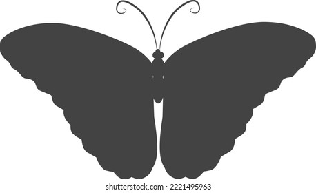 Black butterfly icon. Flying insect symbol. Summer animal
