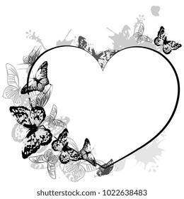 black butterfly, isolated on a white
