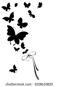 black butterfly, isolated on a white