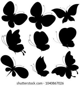 black butterfly, isolated on a white