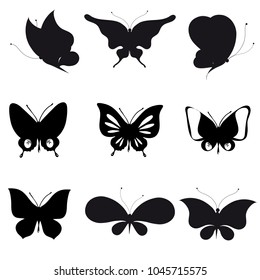 black butterfly, isolated on a white