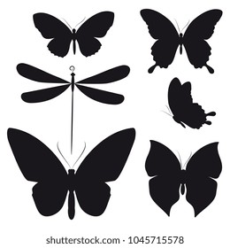 black butterfly, isolated on a white