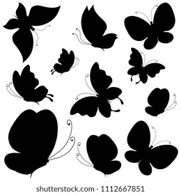 black butterfly, isolated on a white