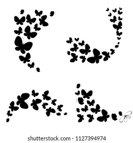 black butterfly, isolated on a white