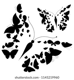black butterfly, isolated on a white