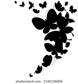 black butterfly, isolated on a white background